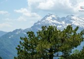 View of Thethi Valley