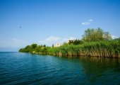 Island in Prespa