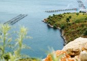 Aerial view of Saranda