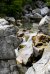 Valbona river